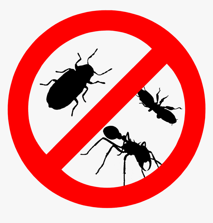 75 753813 pests control hd png download