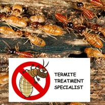 TERMITE PEST CONTROL